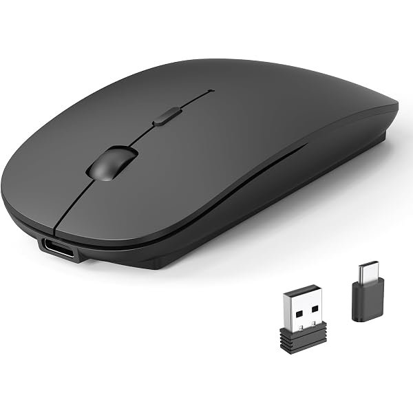 Apple Magic Mouse - Black Multi-Touch Surface ​​​​​​​ : Amazon.ca